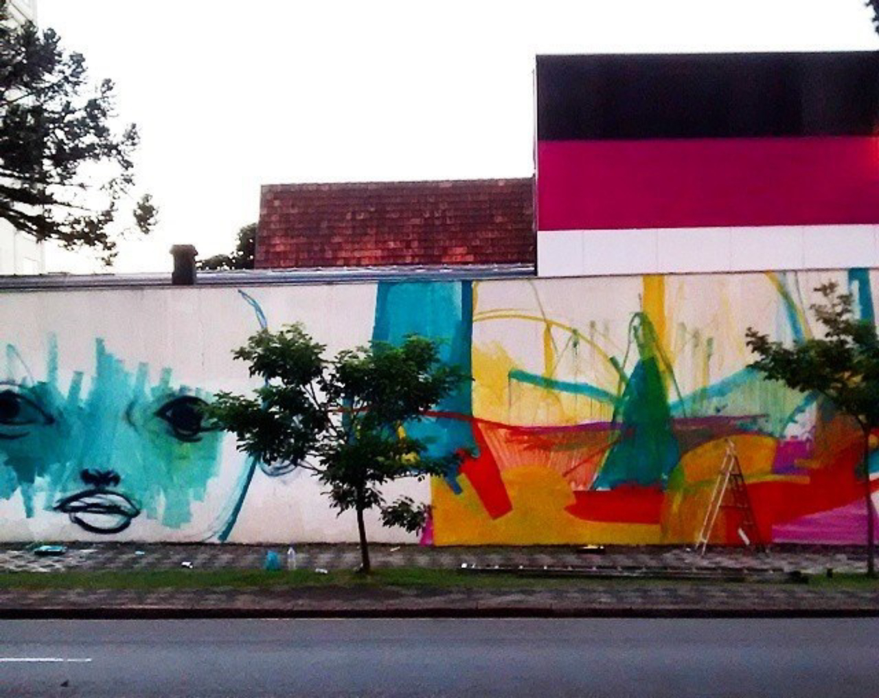 Muro grafitado, de autoria de Jorge Galvão e Rodrigo Branco. Foto: Marcos Ribas/divulgação