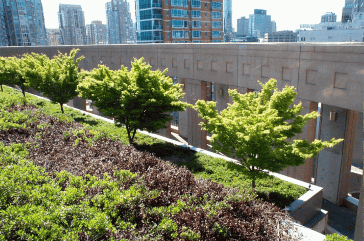 Telhados verdes são alternativa para construções sustentáveis.<br>Foto: Green Roofs
