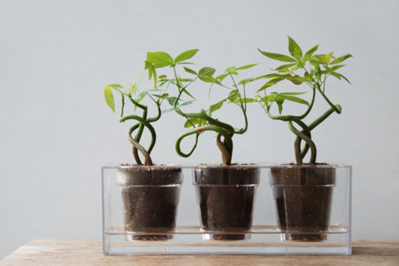 Vaso Cube Trio transparente, Produzido em policarbonato. Na Casa que tem, R$ 290.