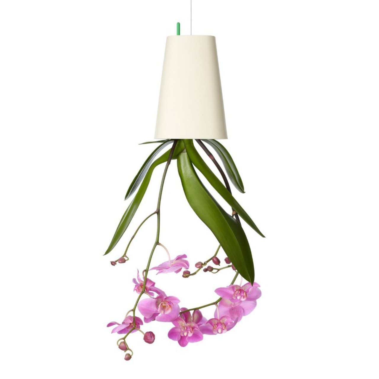 Vaso Sky Planter, em polipropileno reciclado e com ganchos de aço inoxidável para pendurar no teto. Na Casa que tem, R$ 232.