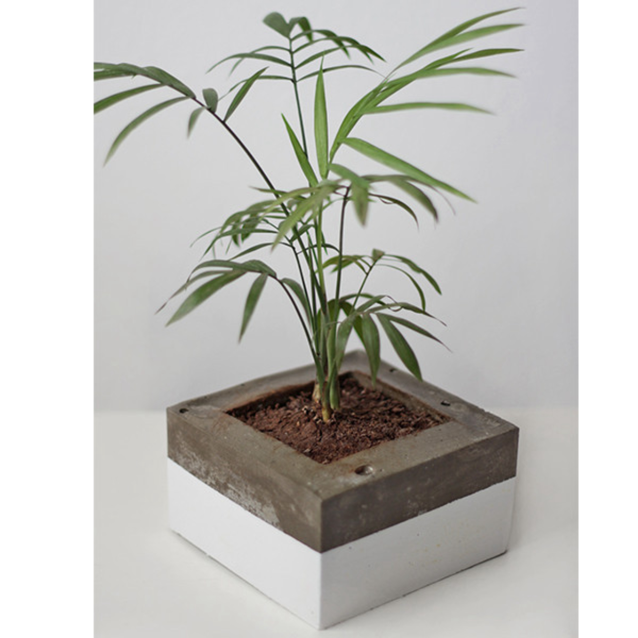 Vaso Terrarium quadrado. Na Casa que tem, R$ 81.