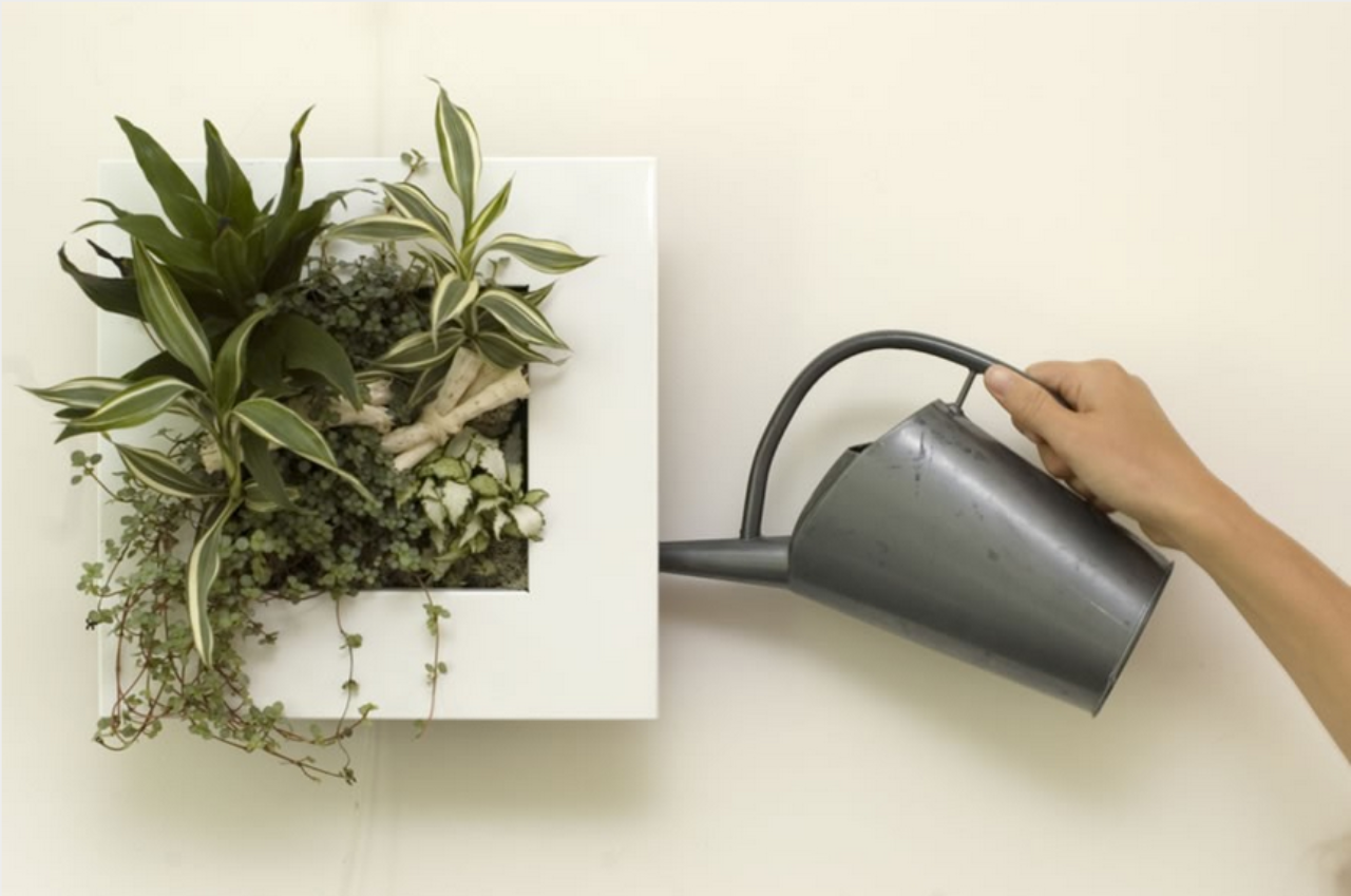 Quadro verde, para parede. Na Toca do verde, R$ 130.