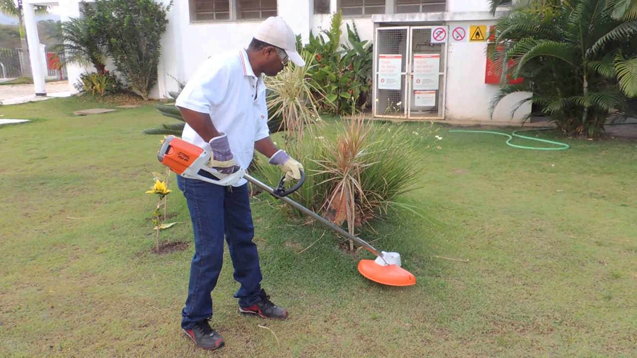 Foto: Stihl / Divulgação.