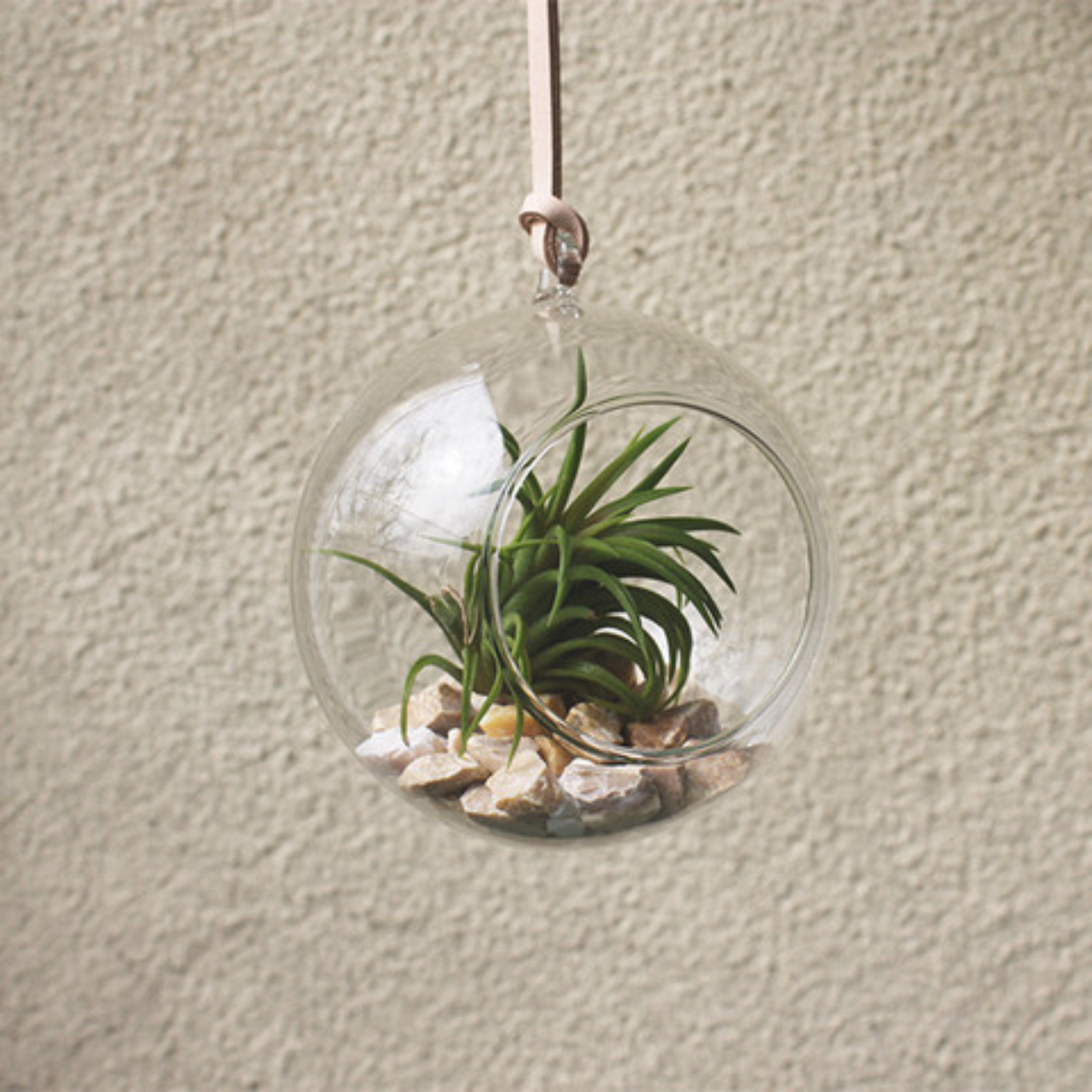 Vaso suspenso Domo, de vidro e com cordão em couro. Na Casa que tem, R$ 125.