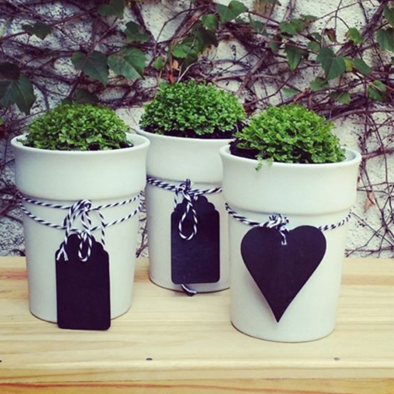 Vasos Tag. Na Casa que tem, R$ 50 cada.