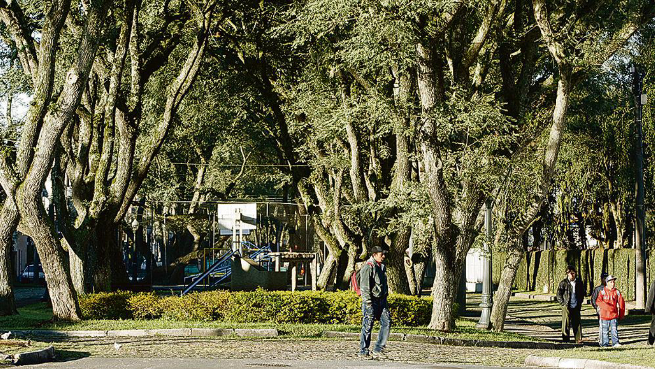 Espaço Jardim Ambiental, na Rua Schiller. Foto: Aniele Nascimento/Gazeta do Povo