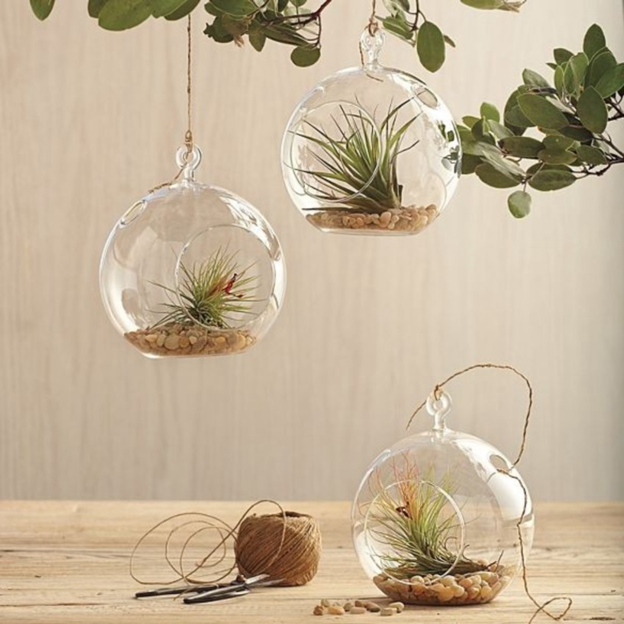 Terrário suspenso. Na M.in.D, R$ 39 cada.