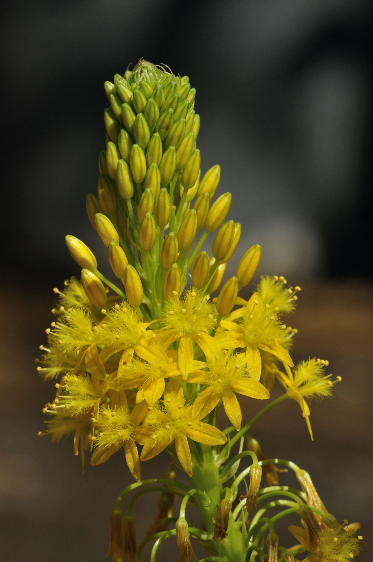 Foto: Bigstock