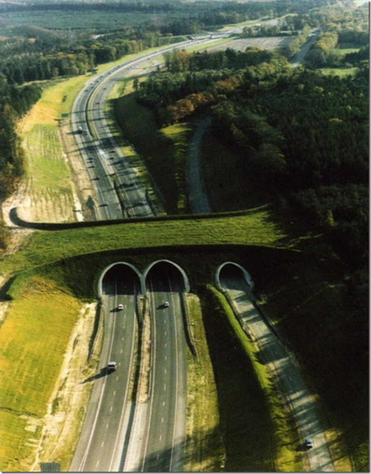 Ponte verde cruza três pistas de rodovia na Holanda. Foto: @ Henri Cormont