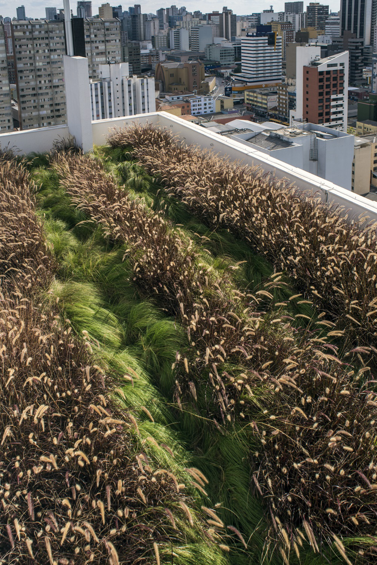 Telhado verde de prédio da Mariano Torres.