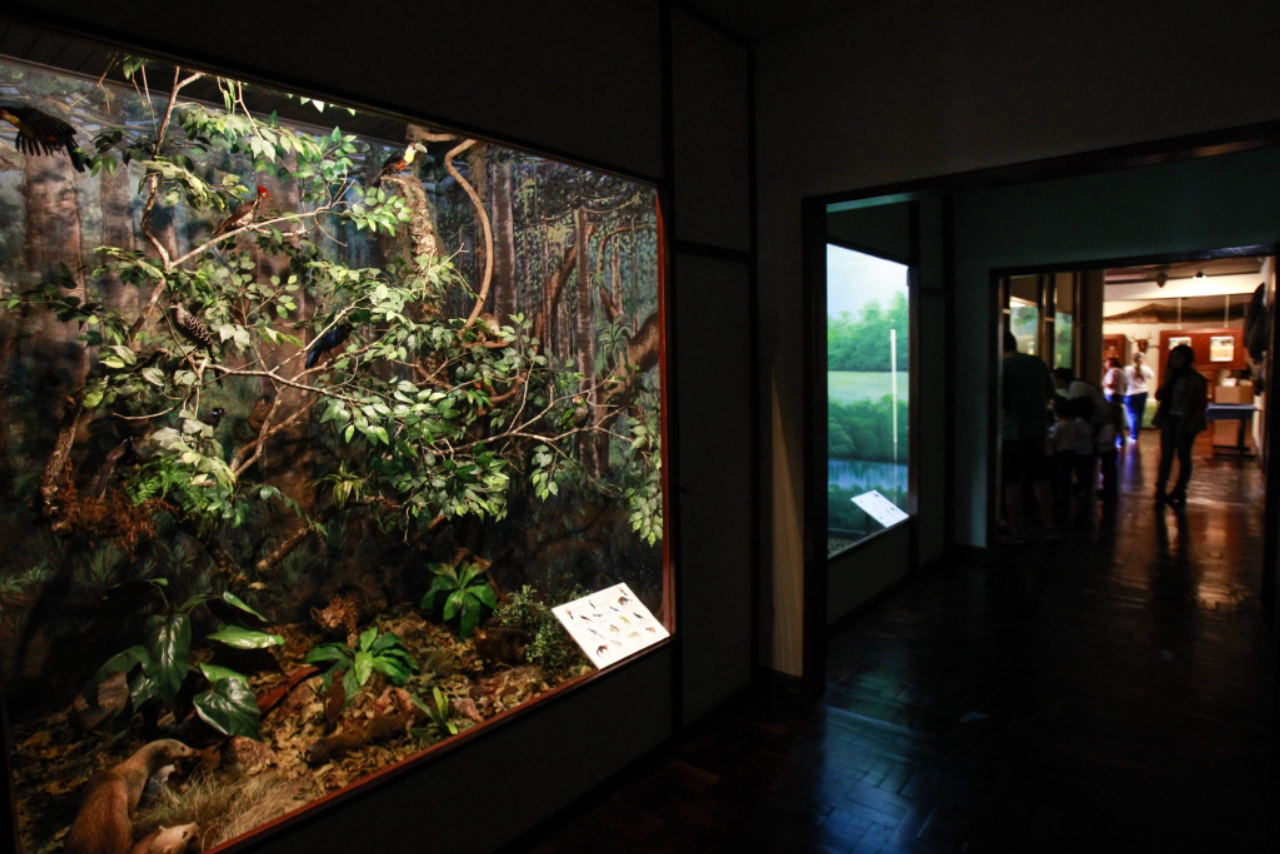 Museu de história natural de Curitiba no Capão da imbuia