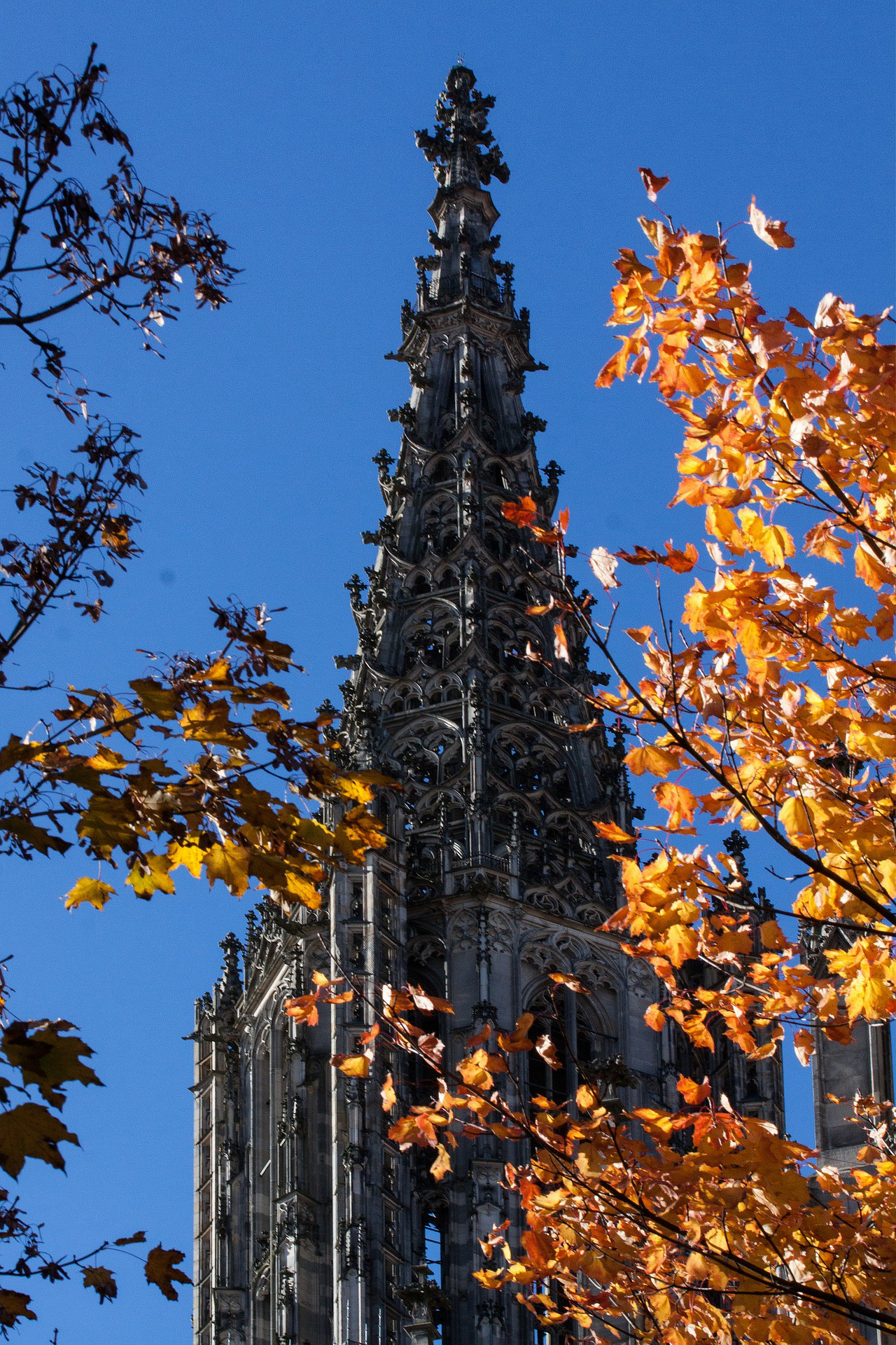 A Catedral de Ulm é destaque na paisagem da cidade universitária ao sul da Alemanha.<br>Foto: Pìxabay