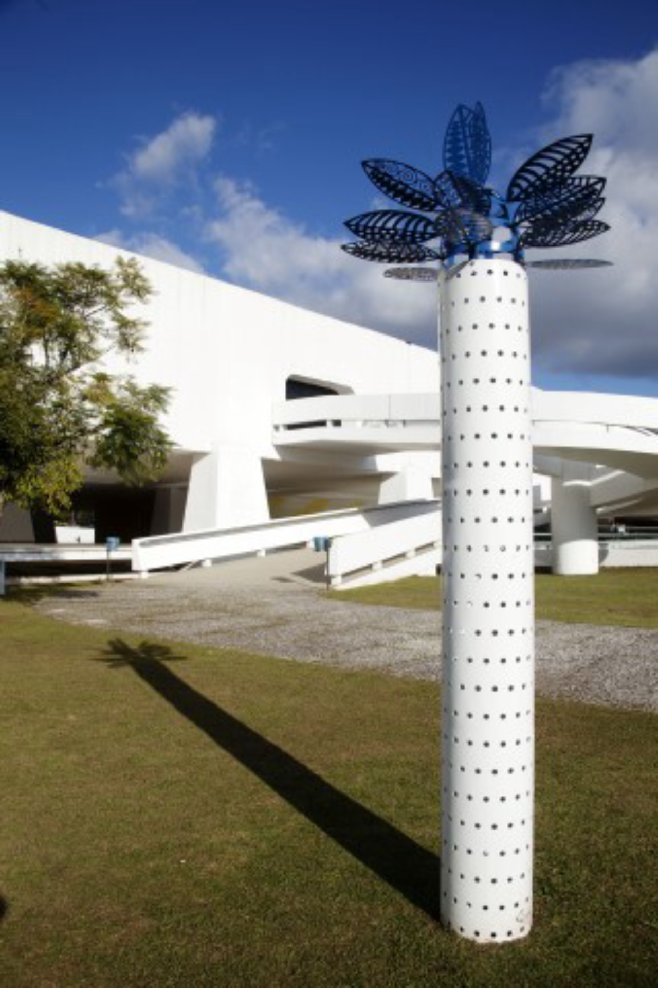 Obra Palmeira, da série In Natura, faz parte do acervo do MON.<br>Foto: Dico Kramer / Acervo MON / Divulgação