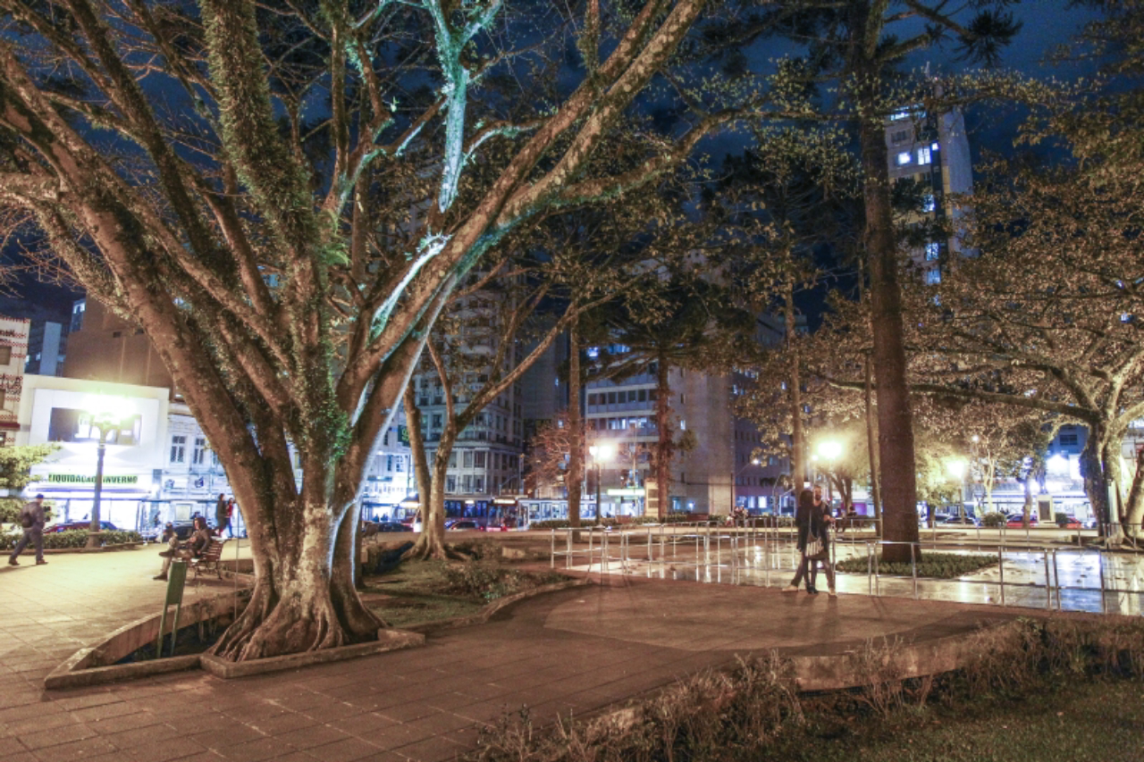 A frondosa figueira da Praça Tiradentes, no marco zero da capital. Foto: Daniel Castellano/Gazeta do Povo