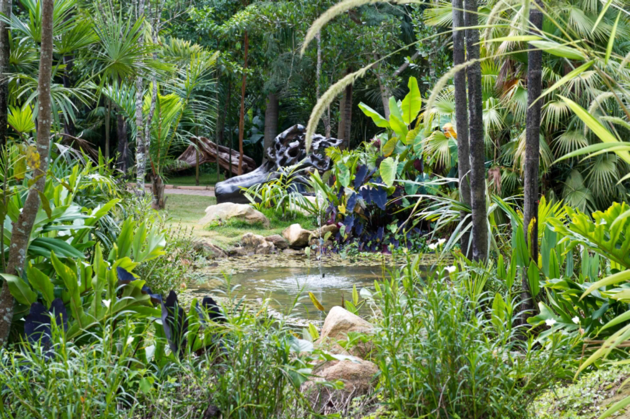Jardim Veredas é um dos jardins temáticos de Inhotim, com abundância de plantas terrestres e aquáticas. As obras de arte intensificam a conexão com a natureza. Foto: Rossana Magri/Divulgação