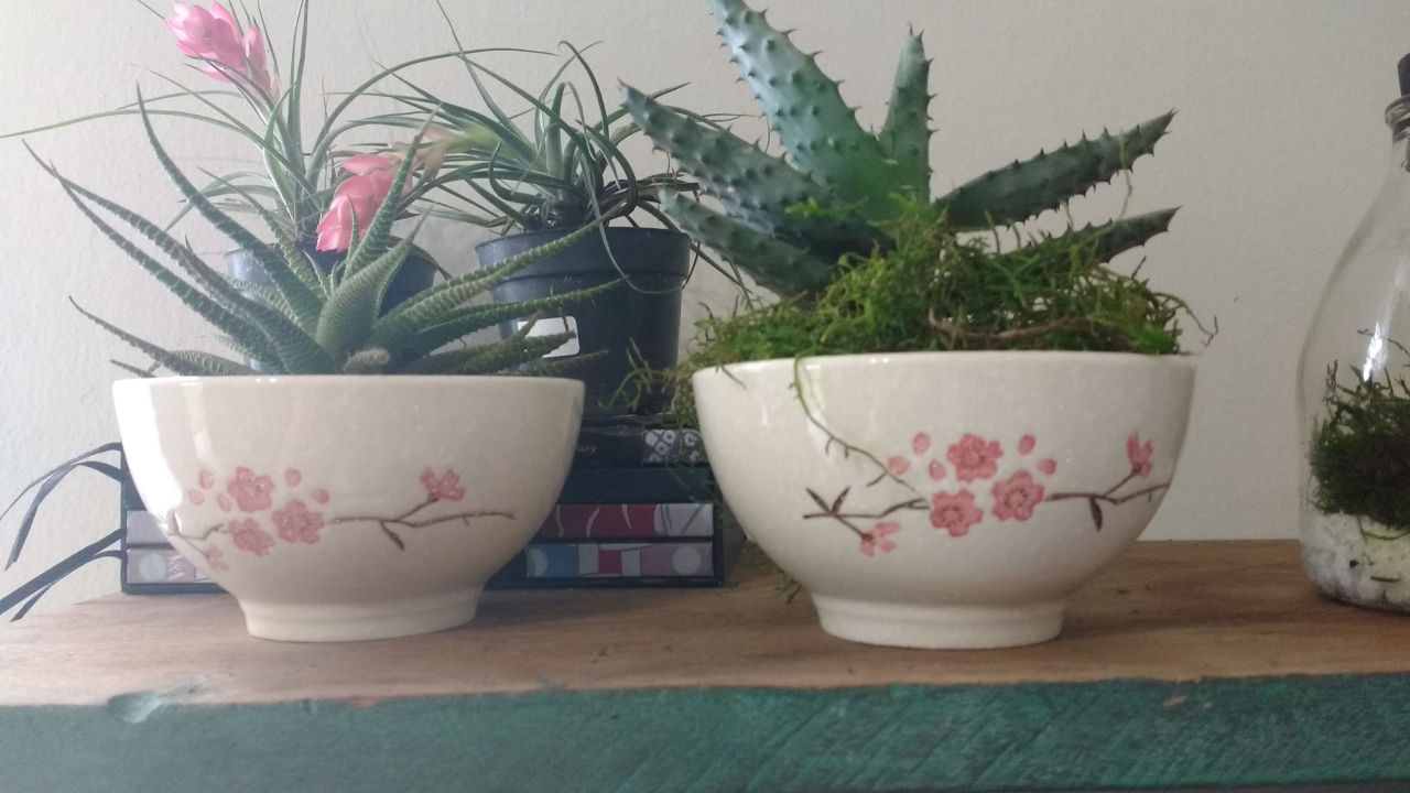 Vasos artesanais com suculentas da Blumen Flor &amp; Cultura. R$ 35, cada.   