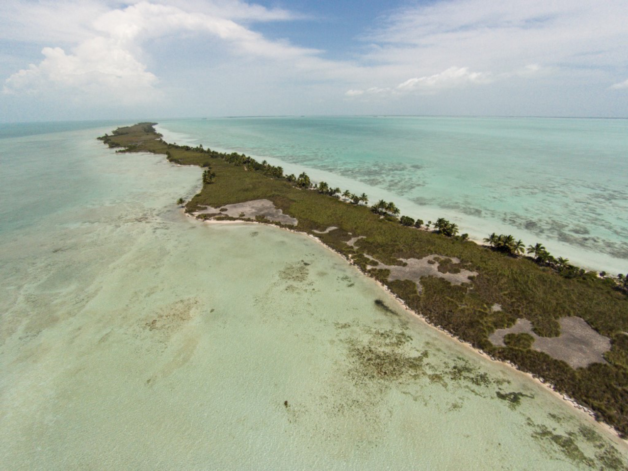 Blackadore Caye, a 104-acre island off the coast of Belize recently purchased by Leonardo DiCaprio, March 27, 2015. DiCaprio, a noted environmental activist, hopes to open an eco-conscious resort here while also reversing the erosion, deforestation and overfishing that Blackadore has endured. (Benedict Kim/The New York Times)