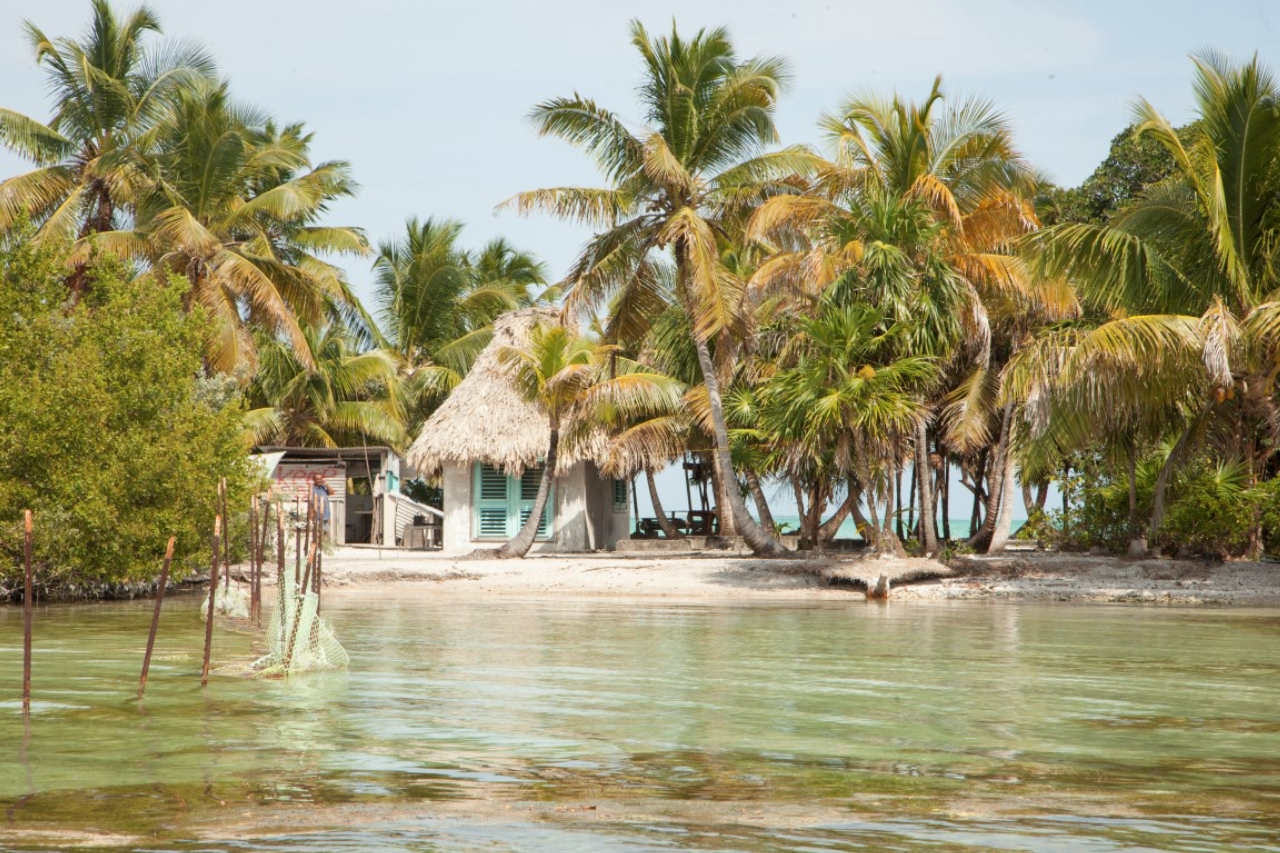 A caretaker's cottage on Blackadore Caye, an island off the coast of Belize recently purchased by Leonardo DiCaprio, March 27, 2015. DiCaprio aims to open an eco-conscious resort here while also setting right the erosion, deforestation and overfishing the 104-acre island has endured. (Benedict Kim/The New York Times)