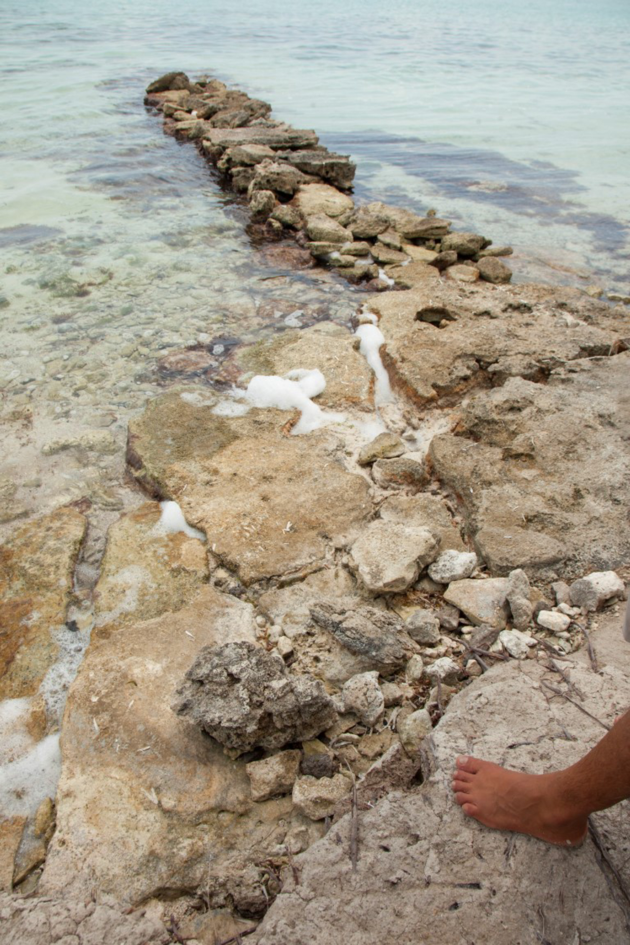 A rock jetty built to prevent erosion on Blackadore Caye, an island off Belize recently purchased by Leonardo DiCaprio, March 27, 2015. DiCaprio aims to open an eco-conscious resort here while also setting right the erosion, deforestation and overfishing the 104-acre island has endured. (Benedict Kim/The New York Times)