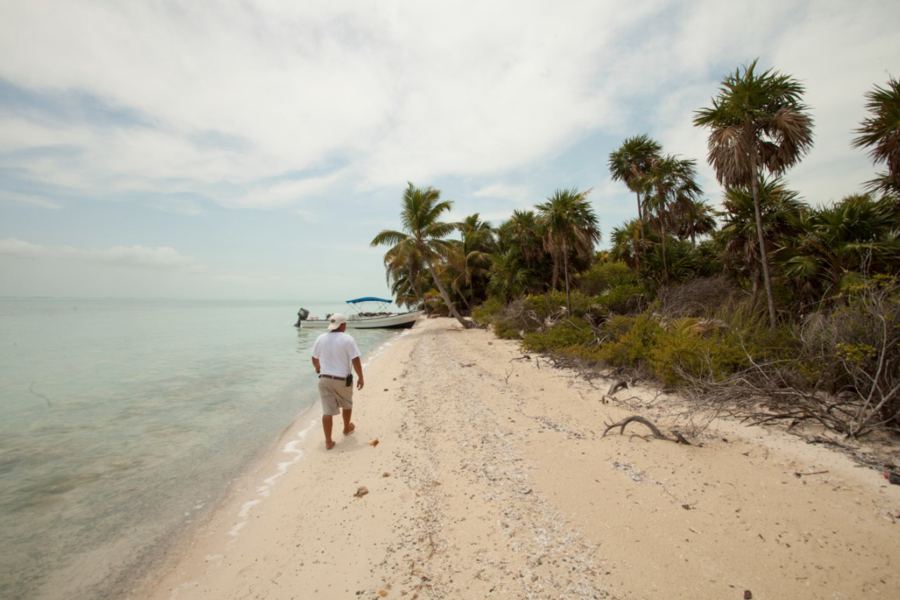 A walk along Blackadore Caye, an island off the coast of Belize recently purchased by Leonardo DiCaprio, March 27, 2015. DiCaprio aims to open an eco-conscious resort here while also setting right the erosion, deforestation and overfishing the 104-acre island has endured. (Benedict Kim/The New York Times)