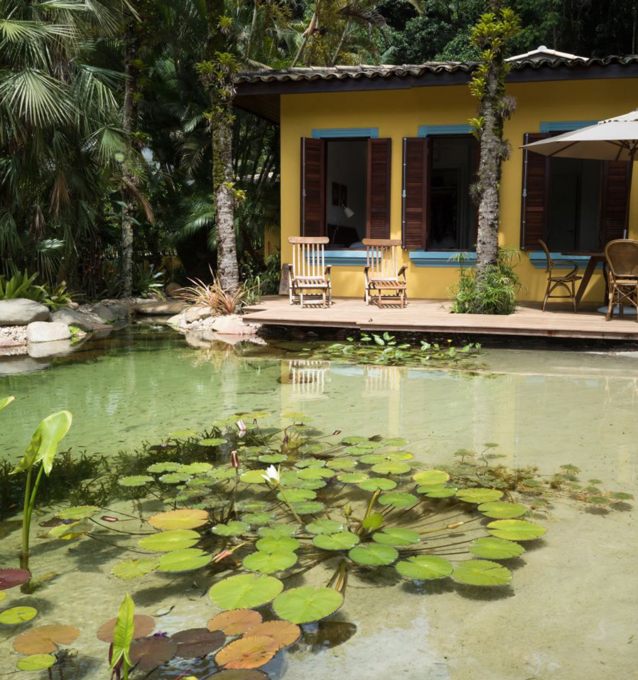 Piscina com diversas plantas aquáticas em Paraty.