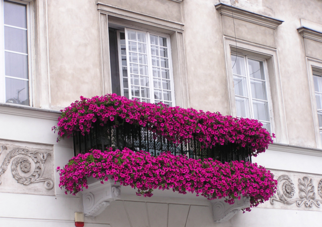 Floreiras dão um toque especial a varandas e janelas. Crédito: Free Images