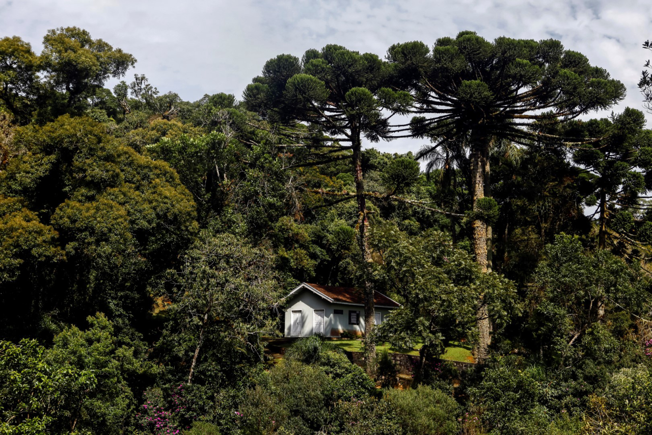 Além de conhecer a centenária construção, visitar os Mananciais da Serra  é uma oportunidade de se conectar com a natureza. 