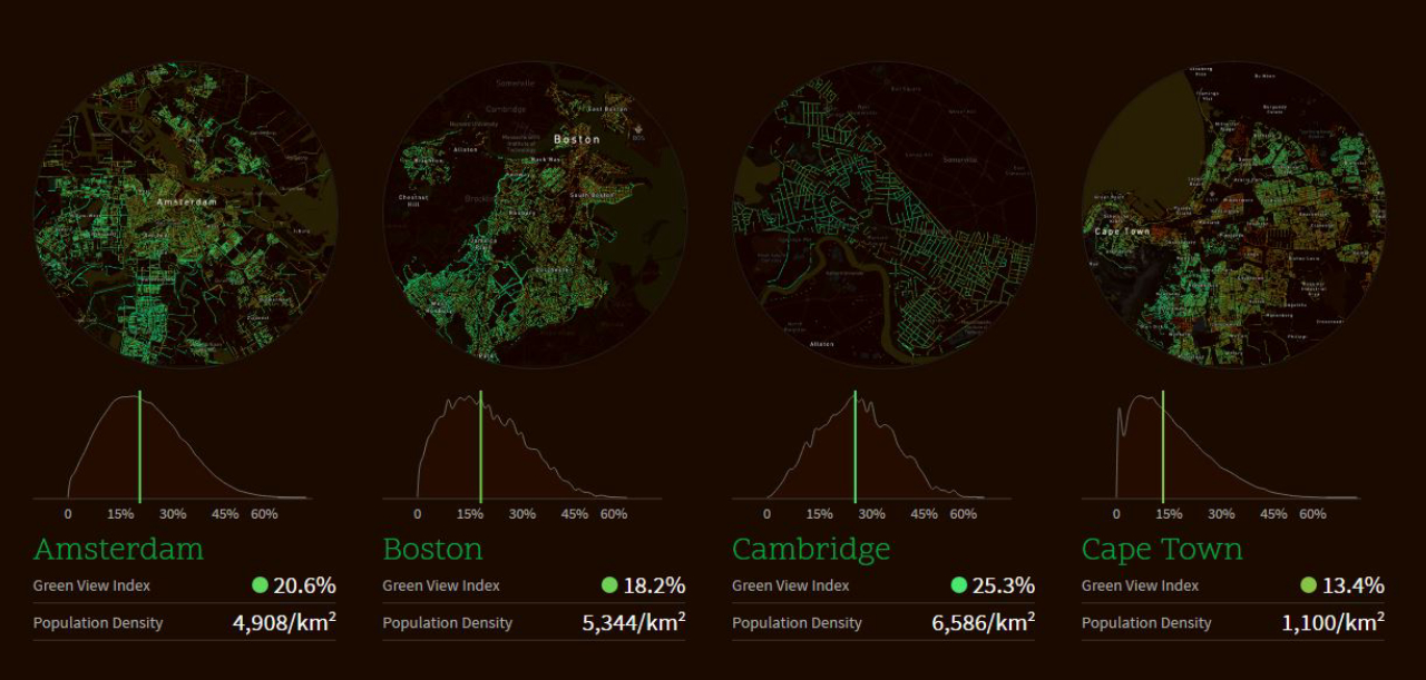 Na imagem, a comparação entre a cobertura verde de quatro cidades ao redor do mundo. Imagem: MIT/Divulgação