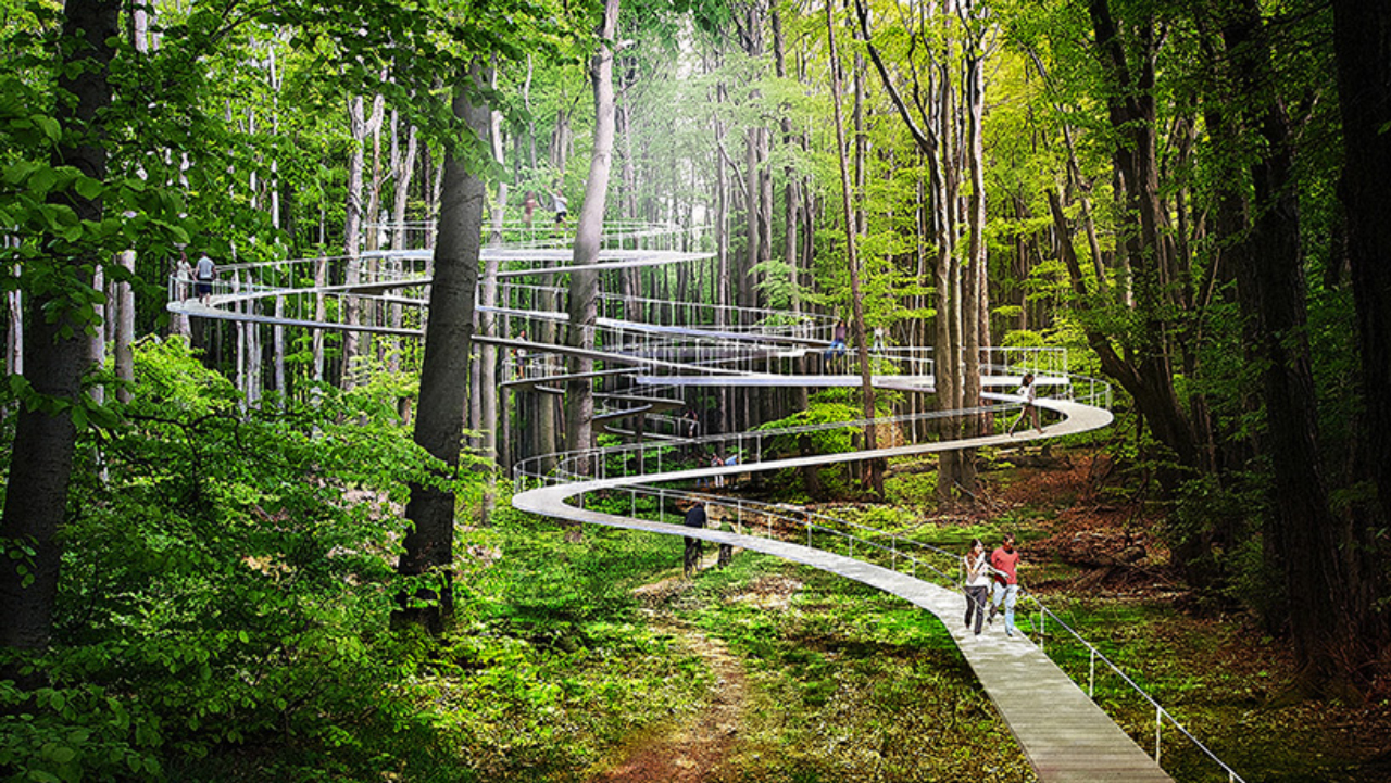 Caminhos levam até a parte de cima da floresta para uma vista mais ampla da natureza. Imagem: Studio Dror/Divulgação