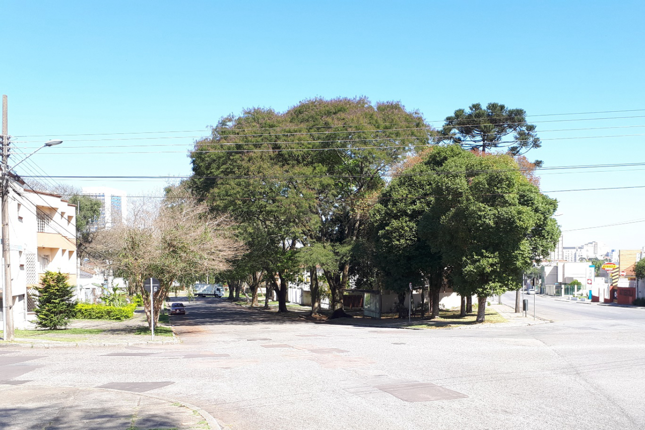Neste trecho, a rua tem terrenos triangulares que deixam espaço para áreas verdes | Foto: Vivian Faria/Gazeta do Povo