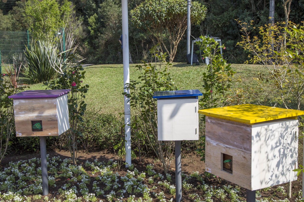 Caixas com diferentes espécies de abelhas sem ferrão foram instaladas no Parque Barigui. Na próxima semana, outros quatros locais devem receber o projeto. Foto: Pedro Ribas/Secretaria Municipal de Comunicação Social