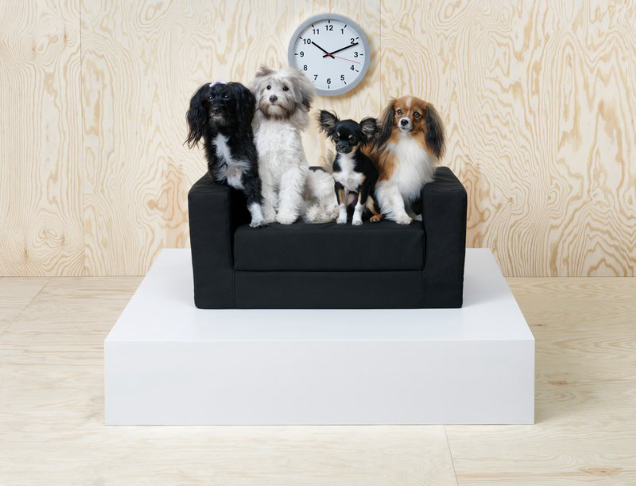A equipe da IKEA teve o suporte de veterinários na produção da mobília. Foto: Marcus Hansen/IKEA