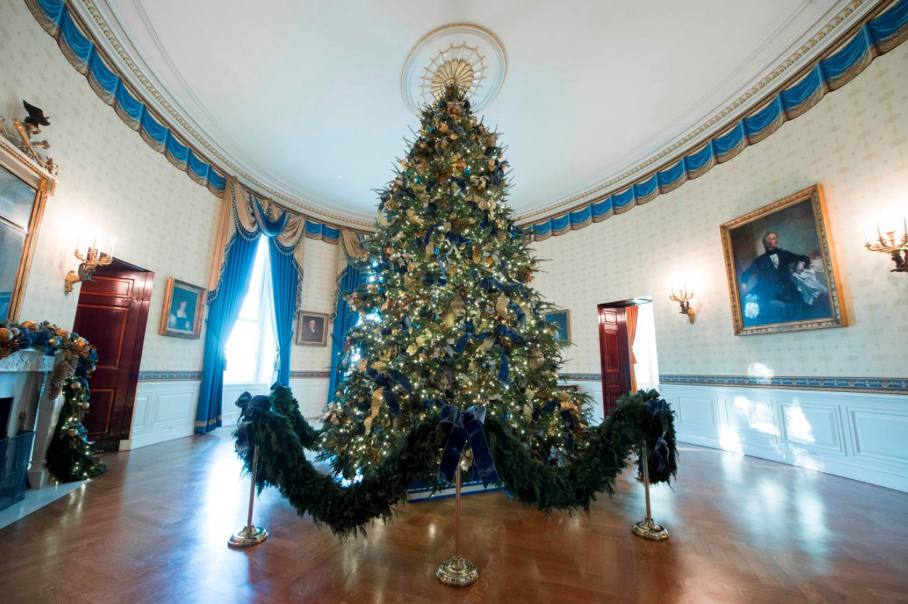 The White House Christmas Tree is seen in the Blue Room during a preview of holiday decorations at the White House in Washington, DC, November 27, 2017. / AFP PHOTO / SAUL LOEB