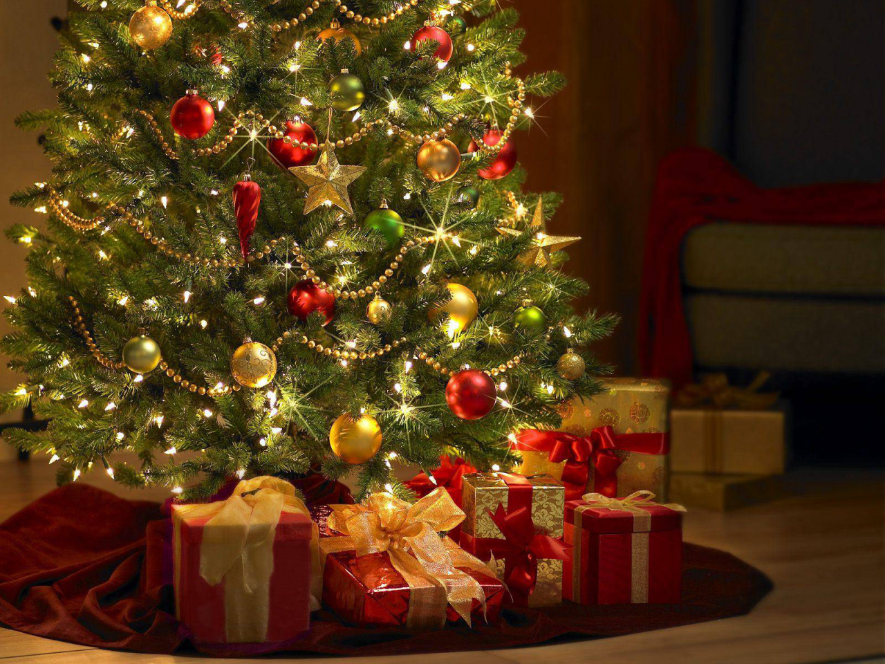 Árvores naturais podem acompanhar o Natal da família por anos e anos e ainda fazem parte do paisagismo. Foto: Reprodução