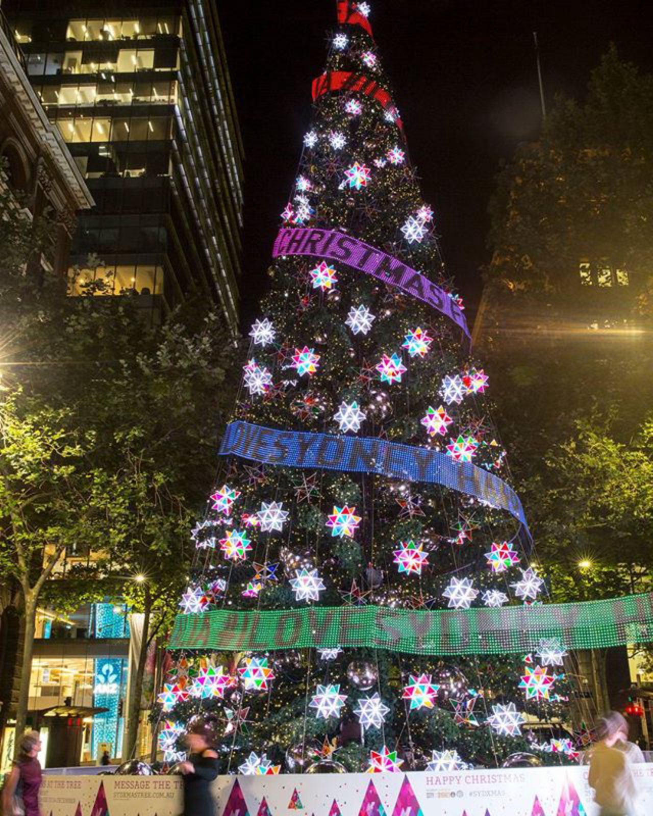Árvore de Sydney é interativa e mostra mensagens enviadas pelo público. Foto: Reprodução/ Instagram @sydney