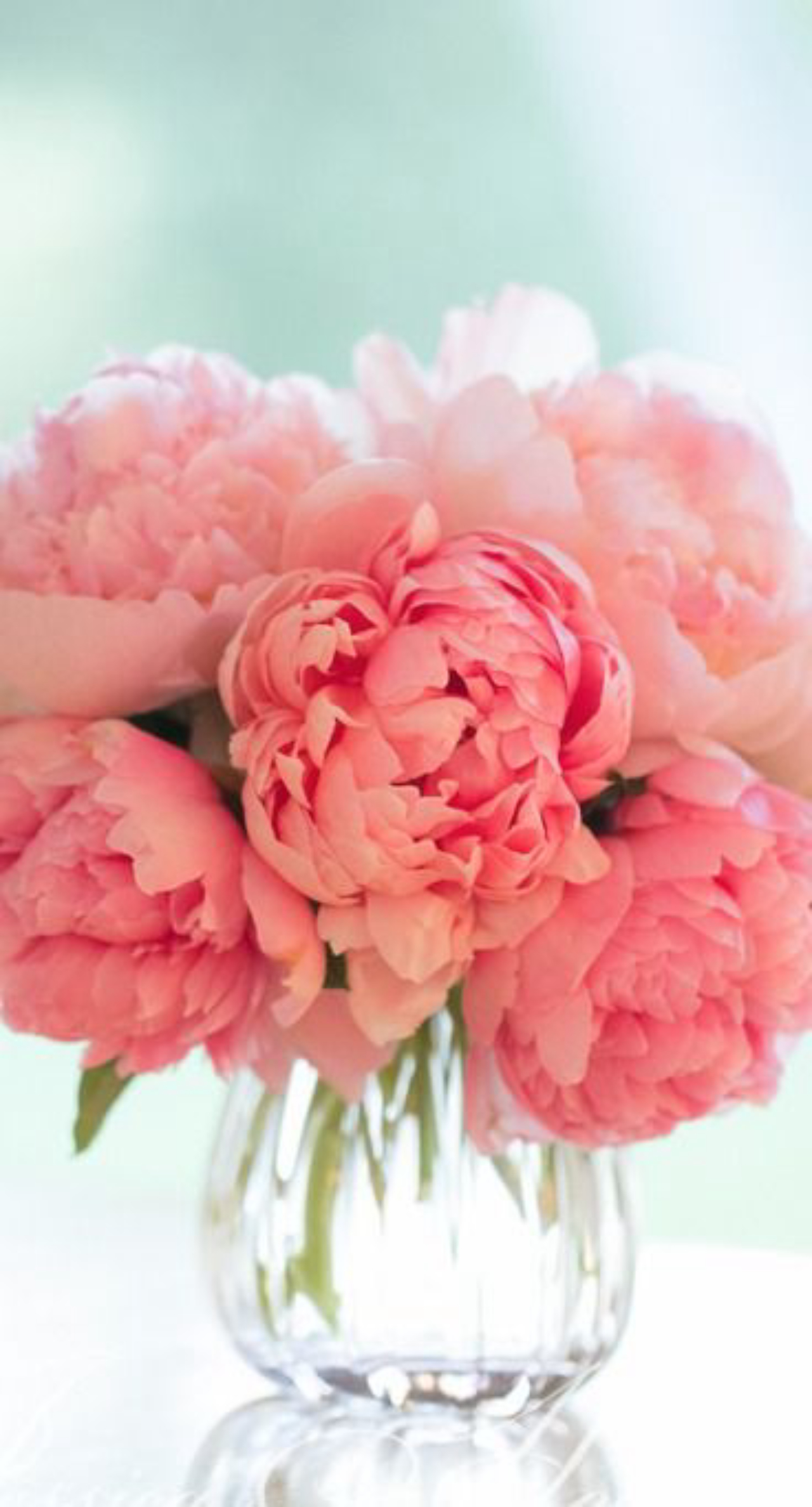 As belas peônias são uma das flores que devem decorar a festa. Foto:  Reprodução/Jessica Holden Photography/Pinterest