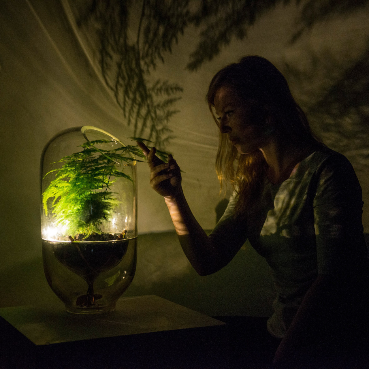 Luminária da designer holandesa Ermi van Oers gera luz pela fotossíntese. Foto: Divulgação/Living Light<br>
