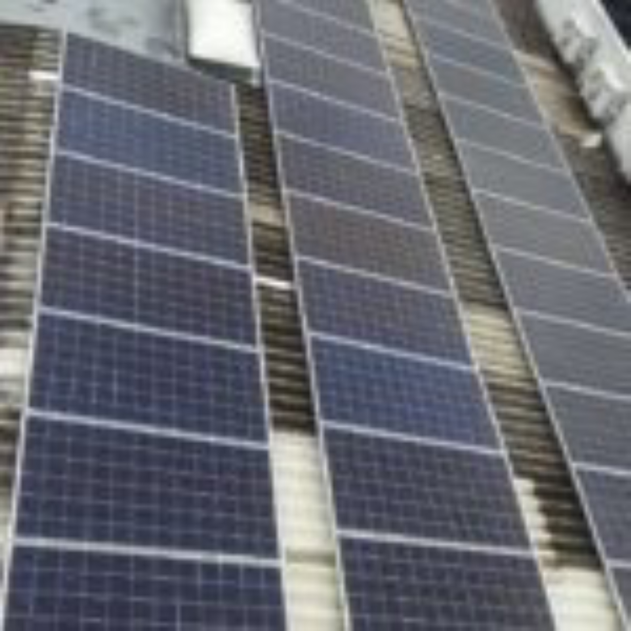 Módulos fotovoltaicos no telhado em fibra de cimento da Plunes. Os módulos também podem ser acoplados em telhados metálicos, de telhas romanas e outras superfícies. Foto: Divulgação Plunes.