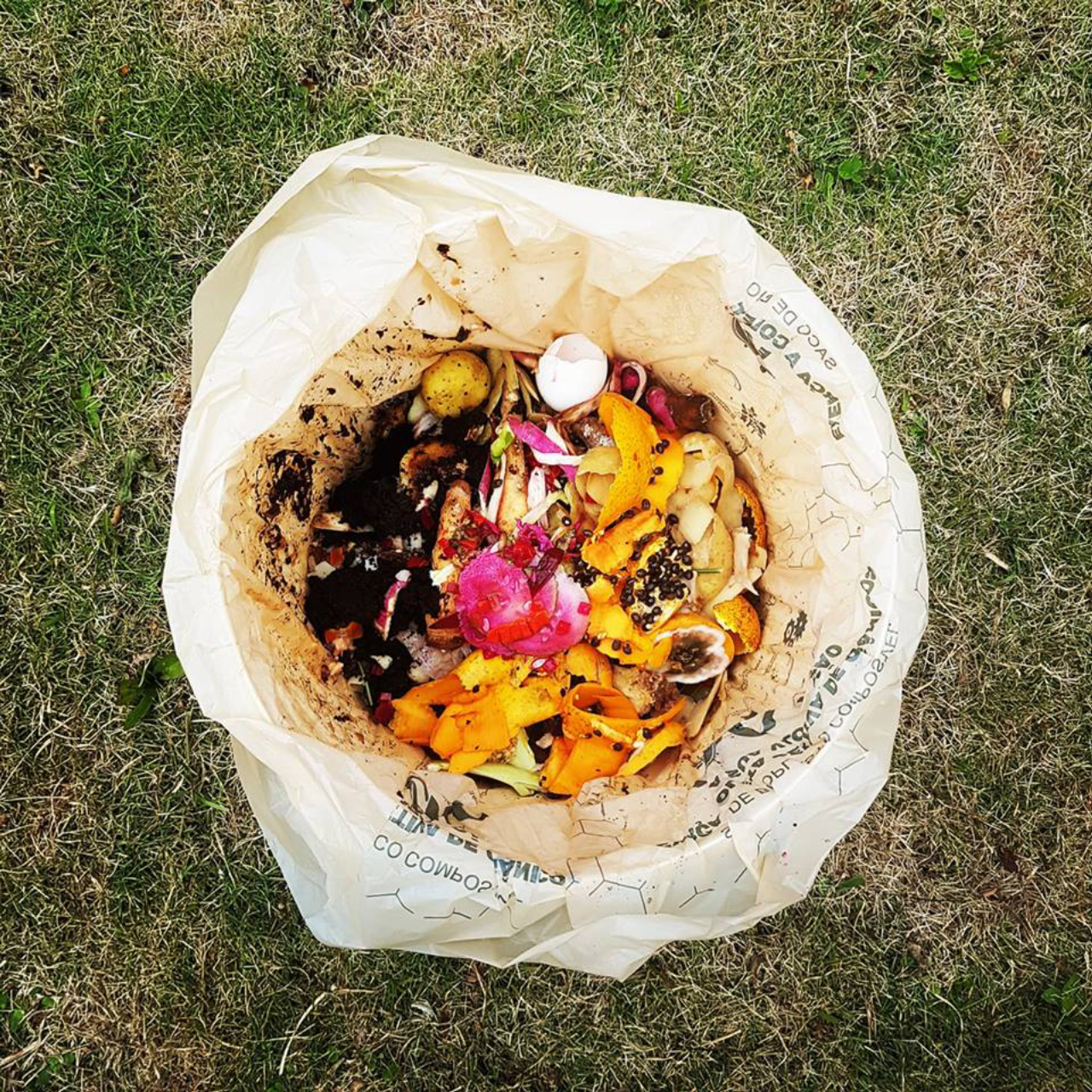 A sacola plástica distribuída pelo projeto é feita de biomassa e se decompõe em um prazo de um mês. Foto: divulgação/Facebook Projeto Compostar. 