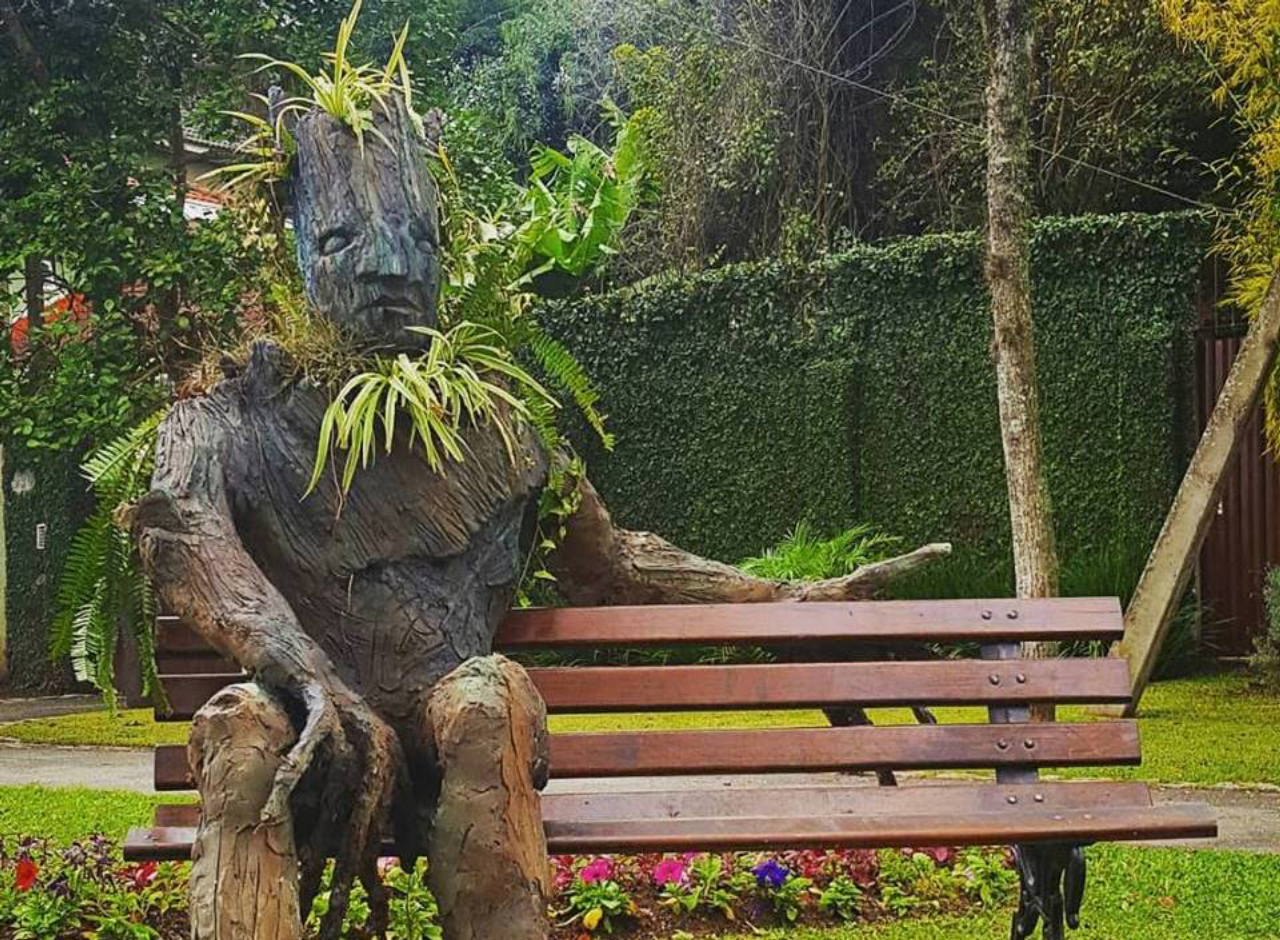 Escultura de homem-árvore no Ahú tem ganhado o coração dos fãs do personagem Groot. Foto: reprodução/ Instagram @leticiaseletti