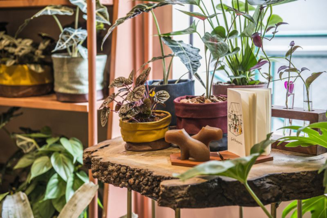 Reforma do Botanique Café com projeto da Moca Arquitetura . Local: Botanique / Borealis 04-04-2019