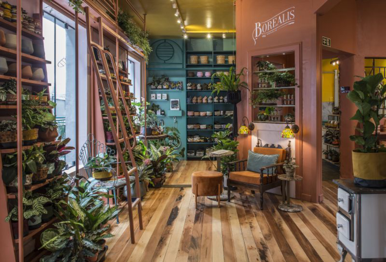 Com a reforma, espaço dedicado à loja de plantas foi ampliado.  Foto: Letícia Akemi