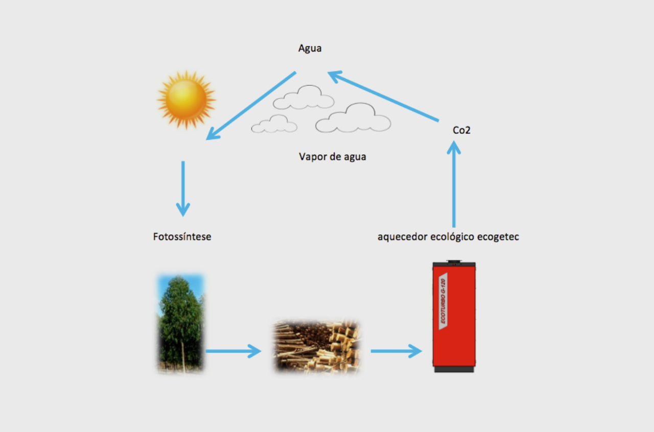 Esquema mostra como funciona o reaproveitamento sustentável dos subprodutos. Foto: Ecogetec