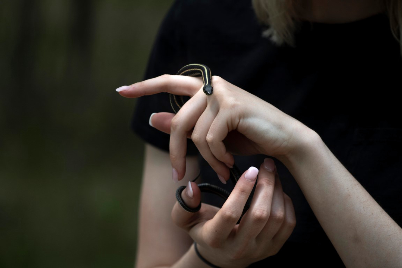 Visitantes tomam coragem de pegar serpentes na mão. Foto: Aaron Vincent Elkaim/The New York Times