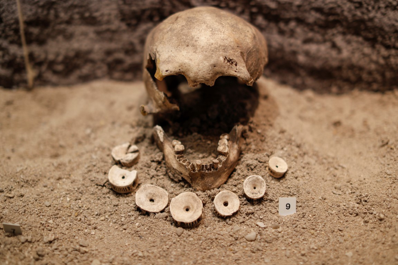 Departamento de Arqueologia do Museu Paranaense, responsável pelas pesquisas arqueológicas no estado e por um acervo de milhares de peças, como cerâmicas e ossos humanos