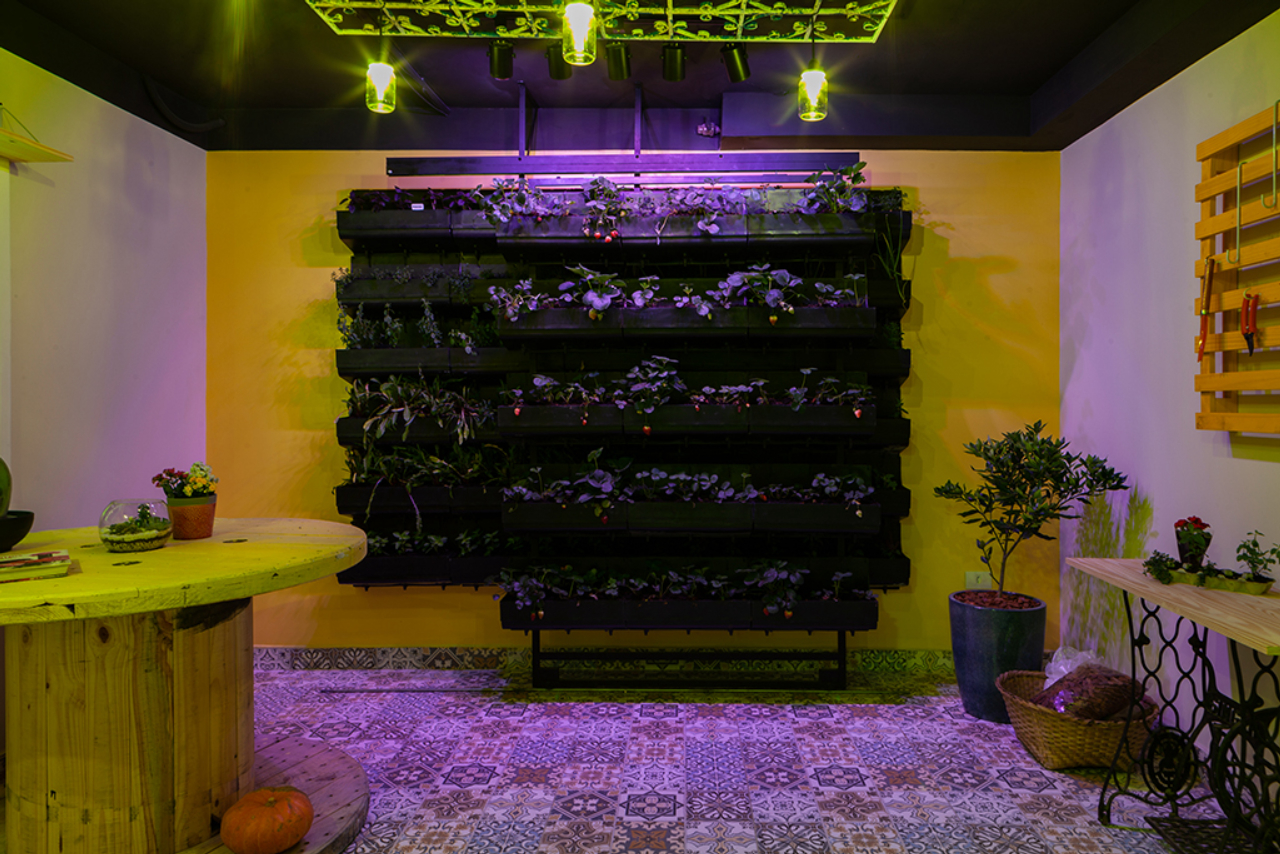 Hortinha em casa conta com irrigação automatizada e iluminação especial para as plantas. Foto: Daniel Sorrentino / divulgação.