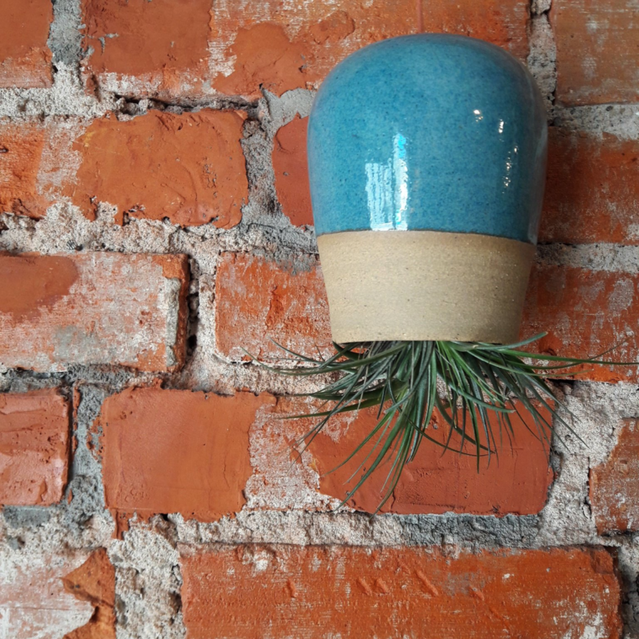 Tillandsia de cabeça para baixo em vaso feito pela EnTorno Cerâmica para a Borealis. Fotos: Fotos: Marcela Belz/Divulgação Borealis