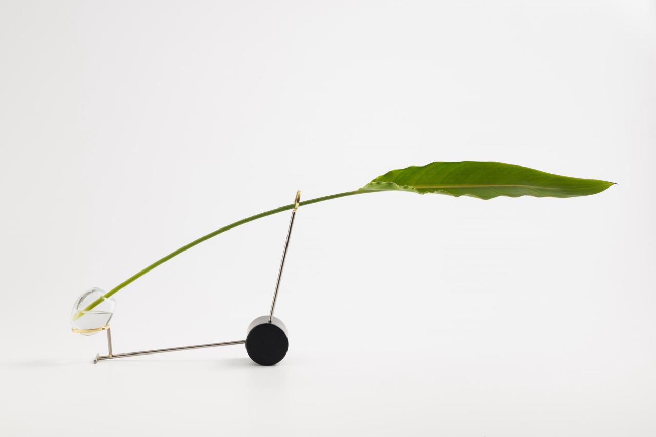 O modelo V1, desenhado para folhas da espécie estrelítzia, ocupa 1,20 m no total – pensando vaso e folha como um só objeto. Foto: Gui Gomes
