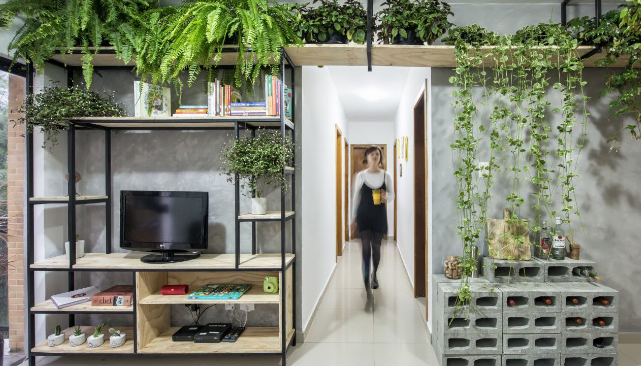 Foto do produção do Diego Paladino para matéria sobre dicas e soluções de como plantas podem transformar espaços residenciais . Plantas em ambientes externos . 23-05-2019