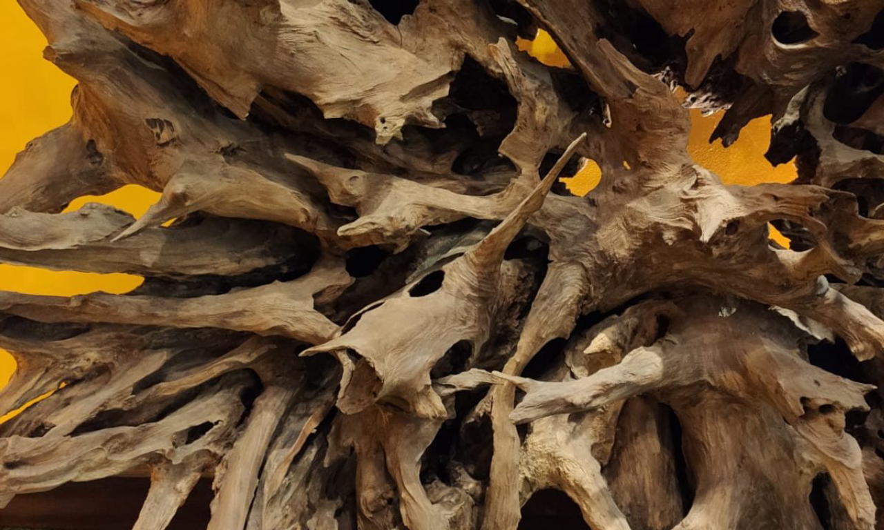 Aparador feito de raízes e troncos encontrados na natureza, que são verdadeiras esculturas.